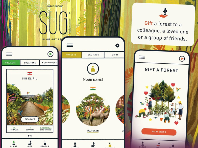 Sugi game developed by Juego Studio